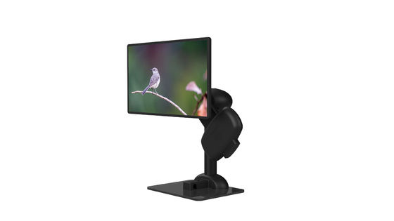 Λαιμών υγείας LCD οργάνων ελέγχου οκνηρό σχέδιο ανύψωσης στάσεων ανθεκτικό αυτόματο