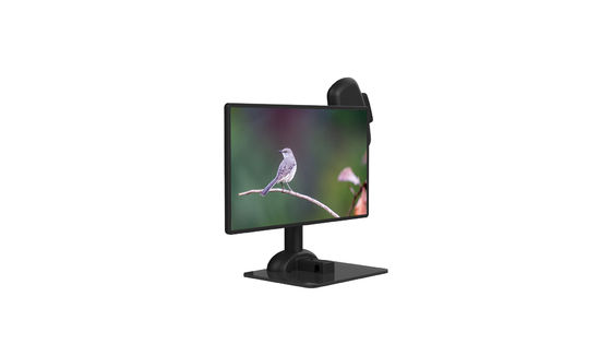 Μοναδικός LCD σπονδυλικών στηλών ακαμψίας οργάνων ελέγχου βραχίονας lap-top στάσεων εργονομικός