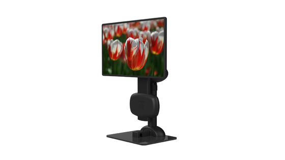 COem/lap-top ODM επίδειξης οκνηρό σχέδιο ανύψωσης κατόχων ηλεκτρικό